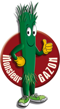 logo.png.png