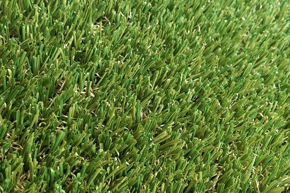 Oasis 30 zoom .jpg